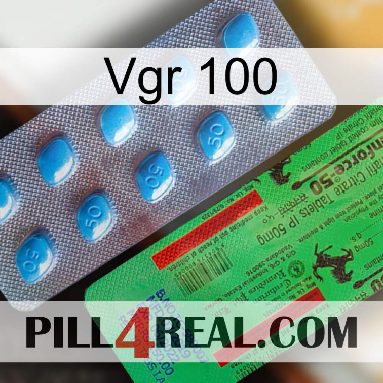 Vgr 100 new03